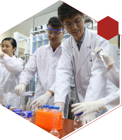 Sustainable Global University of Innovation