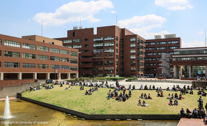 TSUKUBA UNIVERSITY